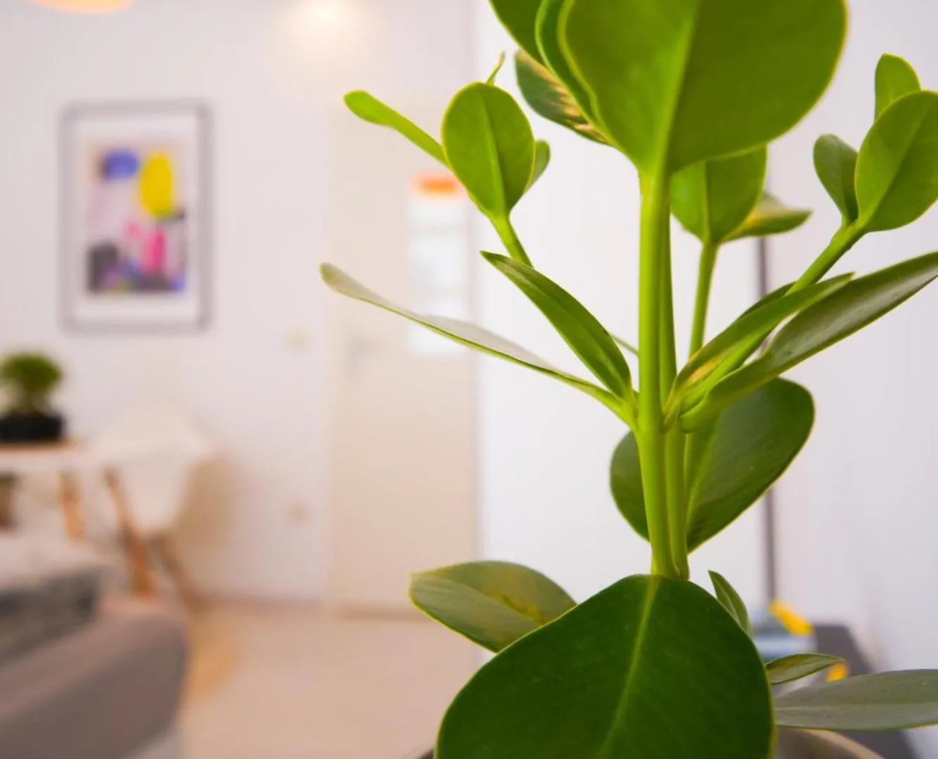 Stilvolles Apartment Im Laessigsten Viertel München